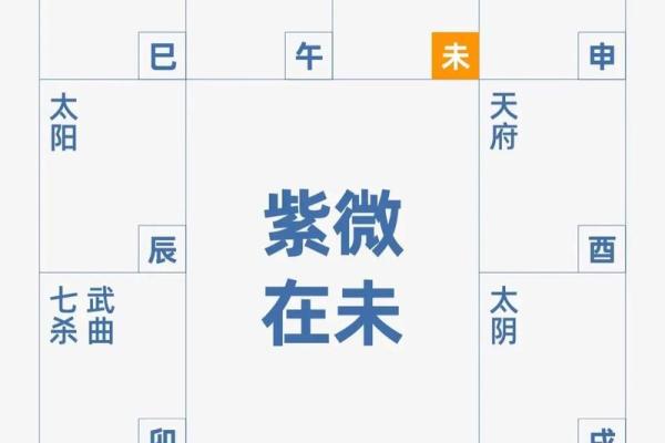 紫薇斗数工作怎么看