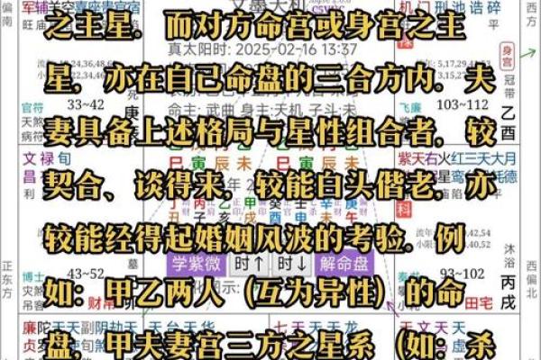紫薇微斗数精诚