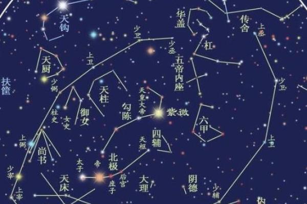 紫薇星贴吧