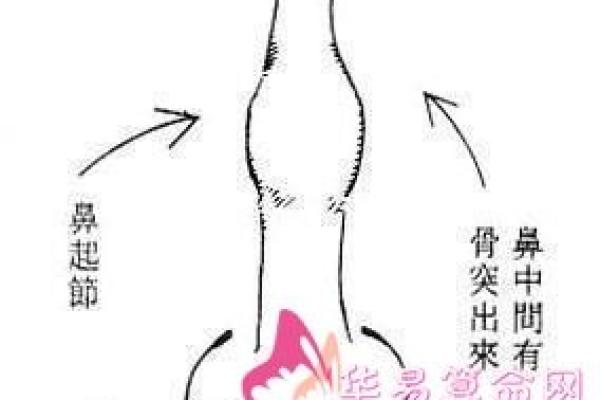 姓贝的名人-姓名学-华易算命网姓名 姓贝的名人-姓名学-华易算命网姓名