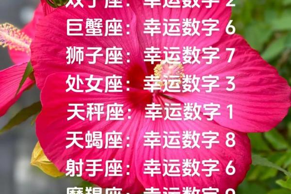 星座运势0219 星座运势0219