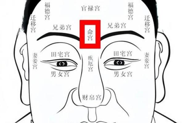 眼皮看面相算命 眼皮看面相算命