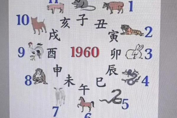 大家找紫薇斗数算命网