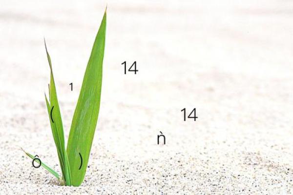 在线抽签观音灵签14签 在线抽签观音灵签14签