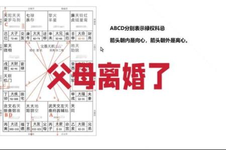 紫薇斗数与父母