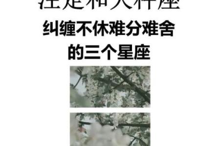 天秤男最宠哪个星座女孩 天秤男最宠哪个星座女孩子