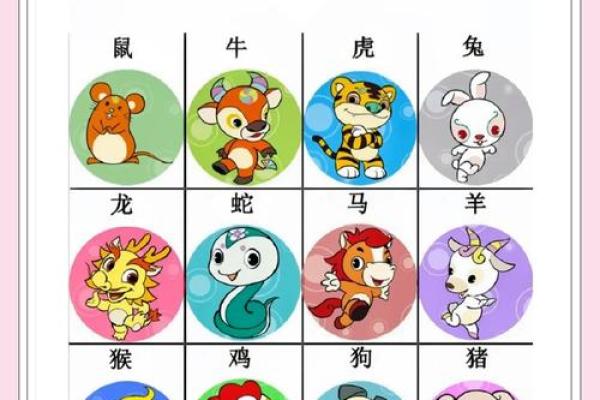 星座生肖大全,了解12星座和生肖的区别 星座生肖大全,了解12星座和生肖的区别