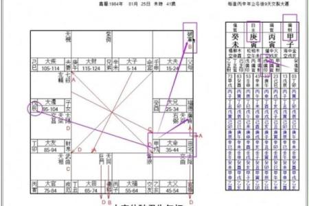 紫薇斗数定盘软件