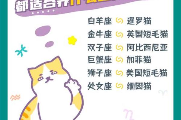 懒到家,天天吃外卖的星座排行 懒到家,天天吃外卖的星座排行