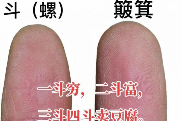 手指上的斗和簸箕代表什么 十个簸箕 簸箕和斗算命 手指上的斗和簸箕代表什么 十个簸箕 簸箕和斗算命