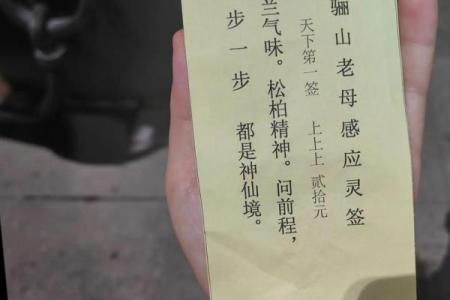 观音灵签97疾病犯阴