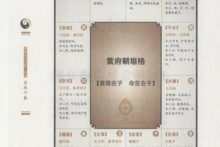 看紫薇斗数顺序