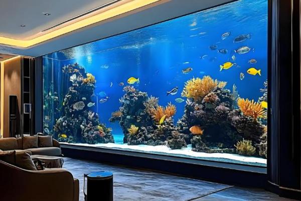 养鱼风水摆放位置的禁忌有哪些呢 养鱼风水摆放位置的禁忌有哪些呢