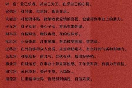 紫薇斗数看行运