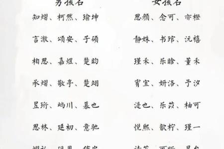 2019年5月25号子时出生的男孩要怎么起名字姓名