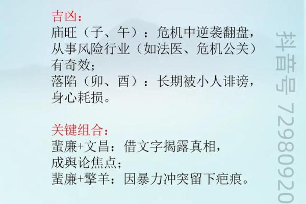 《紫微斗数》：廉贞.天相在财帛宫