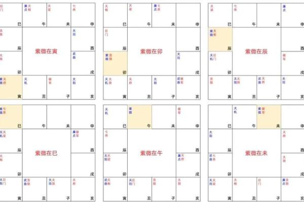 紫薇斗数星盘预测 紫薇斗数星盘预测