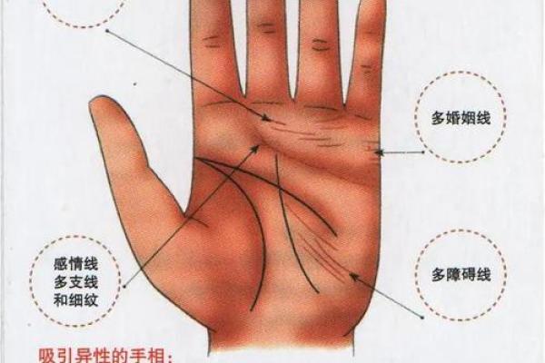 手纹算命图解【高清】