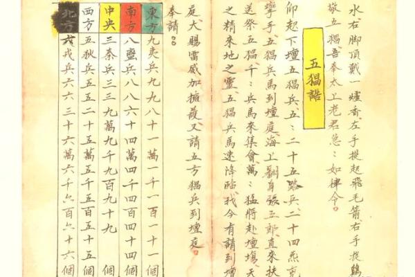 逆天改运？《飞星紫微斗数》古籍揭秘命运织锦，一册在手扭转乾坤