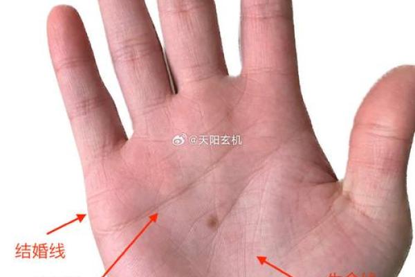 看手相算命图解：手相看婚姻