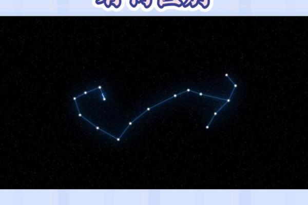 十一月什么星座 十一月什么星座