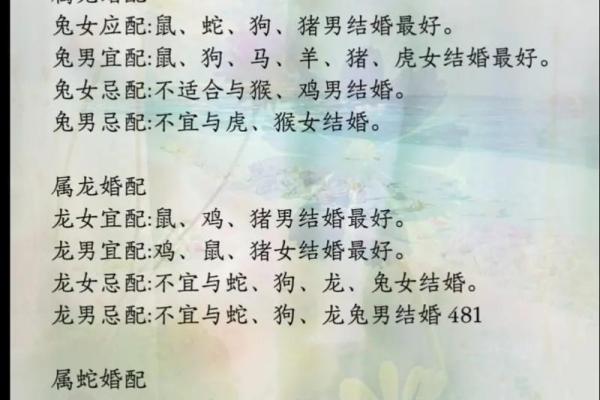 合八字属兔男与属蛇女适合做夫妻吗 婚配好吗 合八字属兔男与属蛇女适合做夫妻吗 婚配好吗