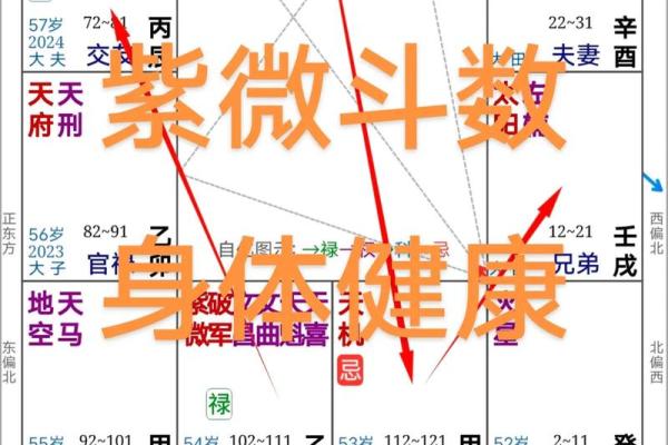 紫薇斗数中忌化解 紫薇斗数中忌化解