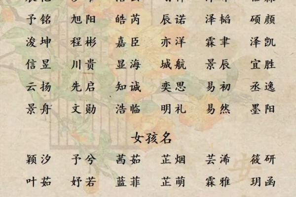 免费以八字取名大全,助你给宝宝起个好名字 免费以八字取名大全,助你给宝宝起个好名字