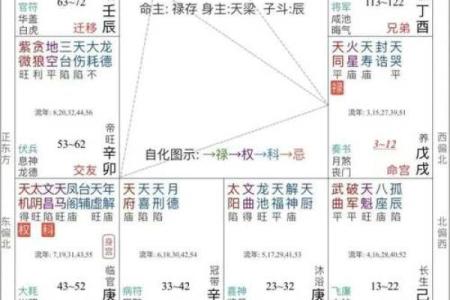 紫薇斗数限流盘