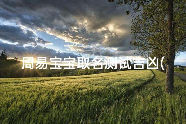 起名网免费打分测试,周易起名网免费打分测试