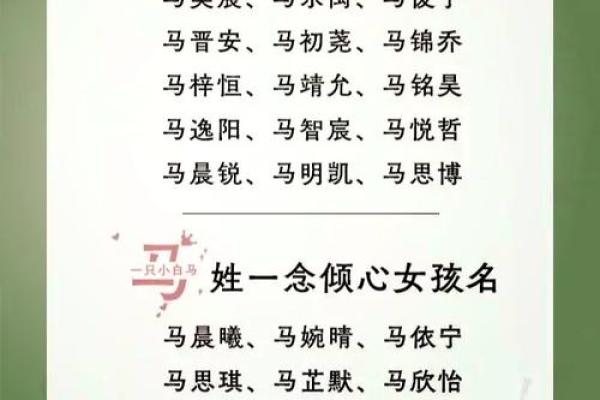 早上十点出生的属猴男孩如何什么名，应用什么字姓名