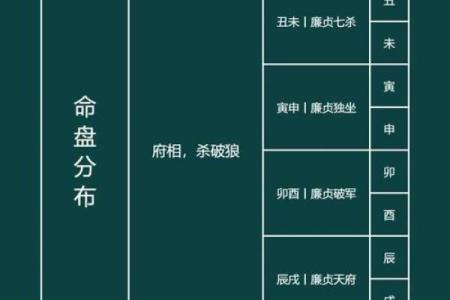 紫微斗数之子女宫与诸星，廉贞星在子女宫是什么意思？