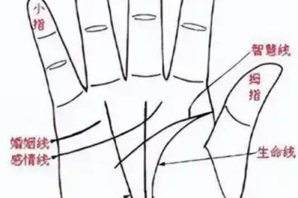 详细分析:手掌中的指纹预测算命,快来算算你的运势如何! 详细分析:手掌中的指纹预测算命,快来算算你的运势如何!