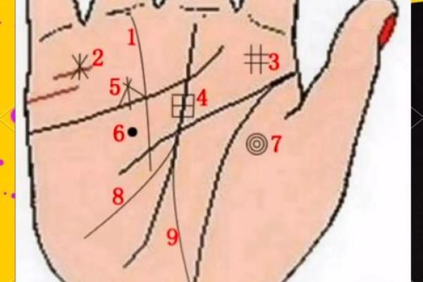 详细分析:手掌中的指纹预测算命,快来算算你的运势如何! 详细分析:手掌中的指纹预测算命,快来算算你的运势如何!