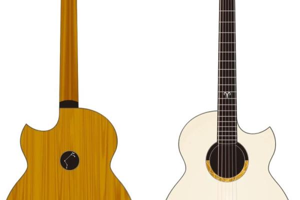 十二星座适合什么乐器请说出理由