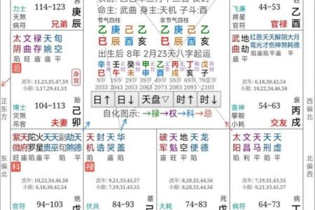 紫薇斗数免费算命大全