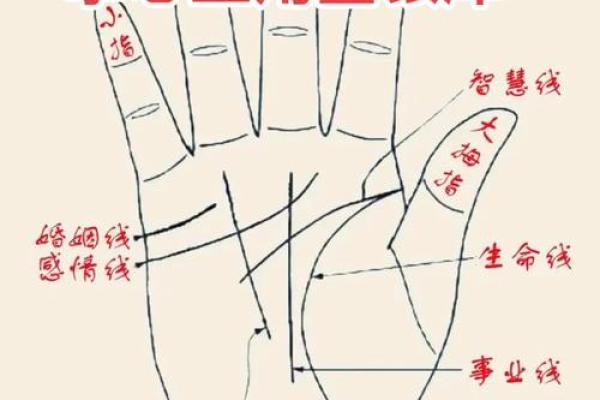 怎么算命用手就行