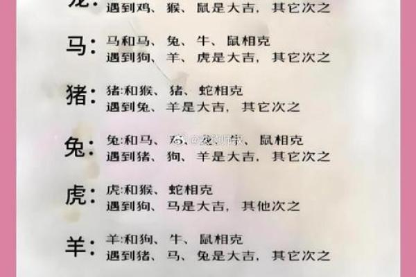 属鼠和属兔的八字合不合得来,属兔的跟属鼠的合财吗