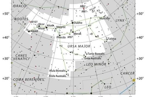 星座研究所里大熊座一次最多可以拿多少小熊