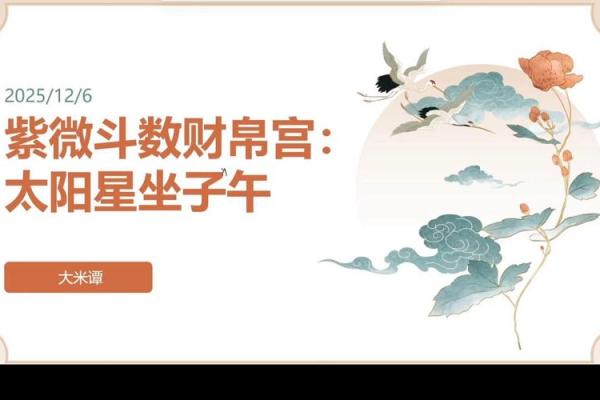 紫薇斗数博士入财帛