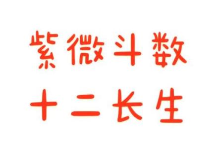 紫薇斗数生命密码