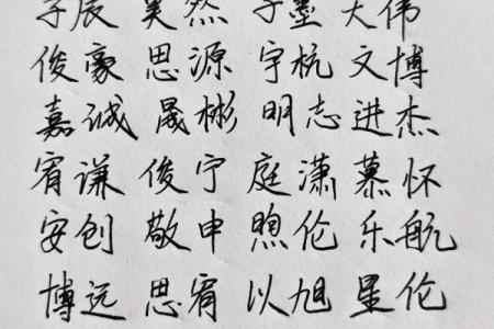 2019年4月23号丑时出生的男孩应该起什么样的名字姓名