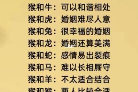 八字婚姻匹配
