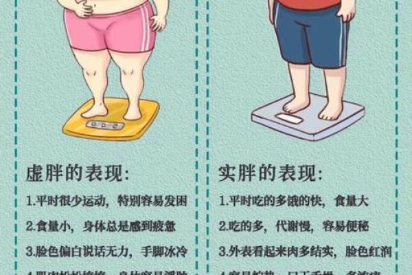 人胖与瘦八字命数组合揭秘