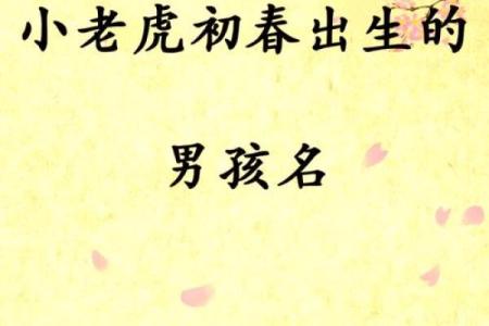 11月份出生的属虎男孩要怎样取名字姓名