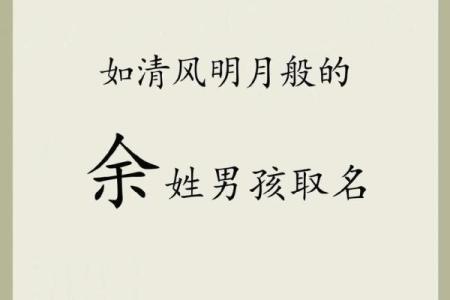 2019年3月19号酉时出生的男孩起名时要注意什么姓名