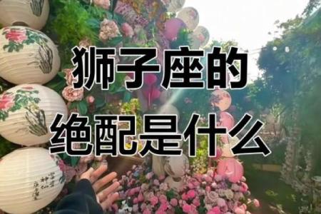 狮子座和什么星座最配 狮子座最配哪个星座