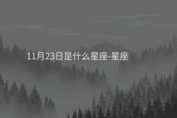11月23日出生是什么星座 11月23日是哪个星座出生