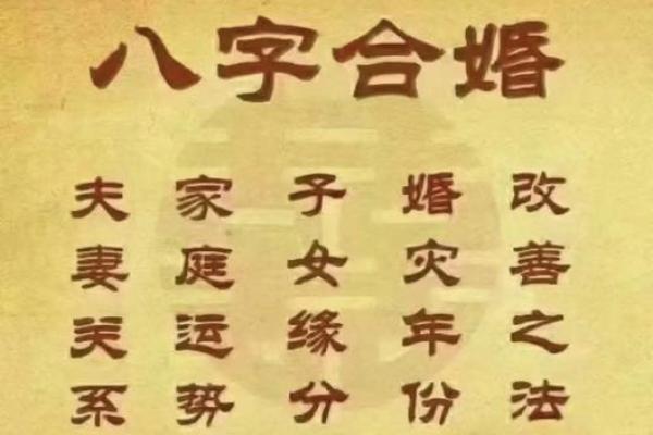 合婚图:超快八字合婚速配 合婚图:超快八字合婚速配