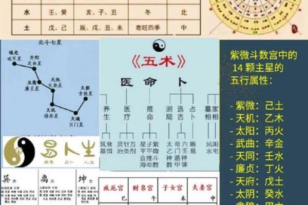 揭秘 紫微斗数VS八字:命理学中隐藏的惊人差异? 揭秘 紫微斗数VS八字:命理学中隐藏的惊人差异?